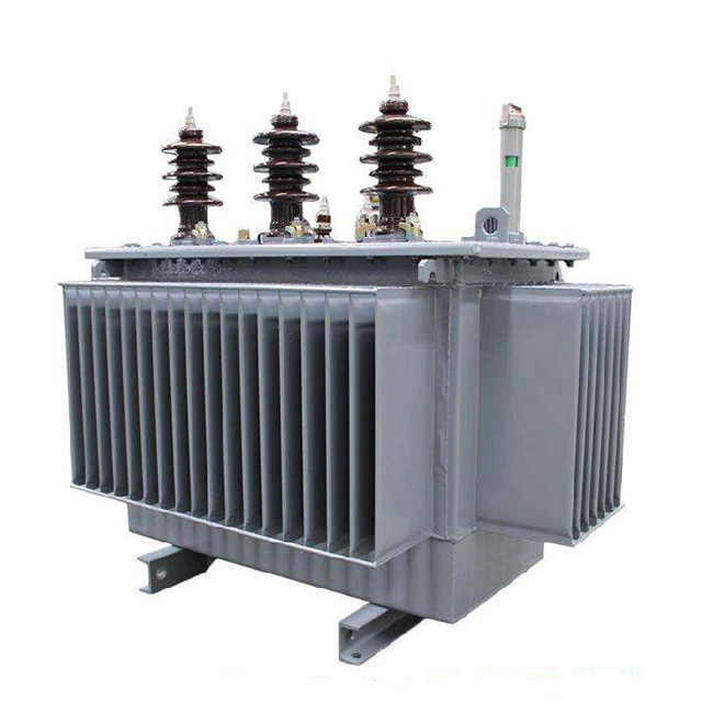 10kV 50KVA 3-fase distributietransformator