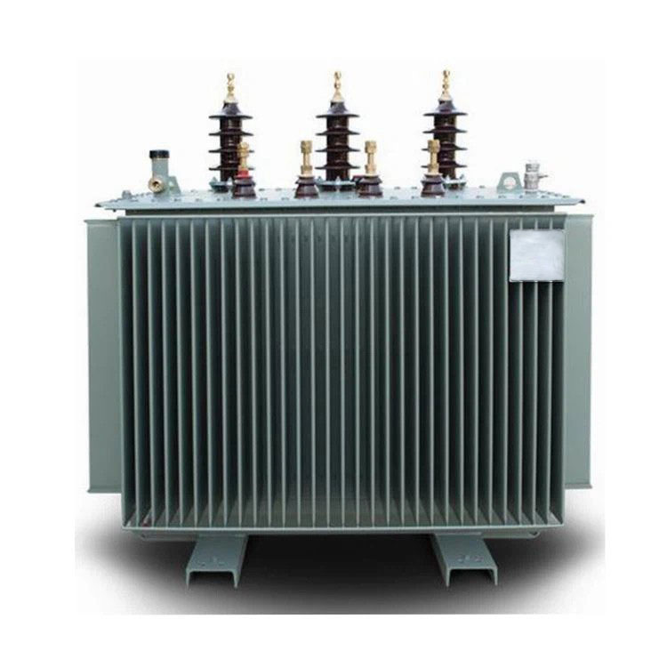 20 Kv 630 Kva 3-fase distributietransformator